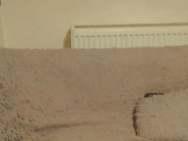 EdenaVega — Show EverCONTROL LUSH FAV VIBS 111-222-333PRIVATE OPENDEEPTHROAT RIDE DILDOSQUIRT SHOWANAL SHOWCUSTOME VIDEOS !