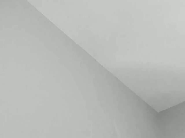 HaileyVice from BongaCams