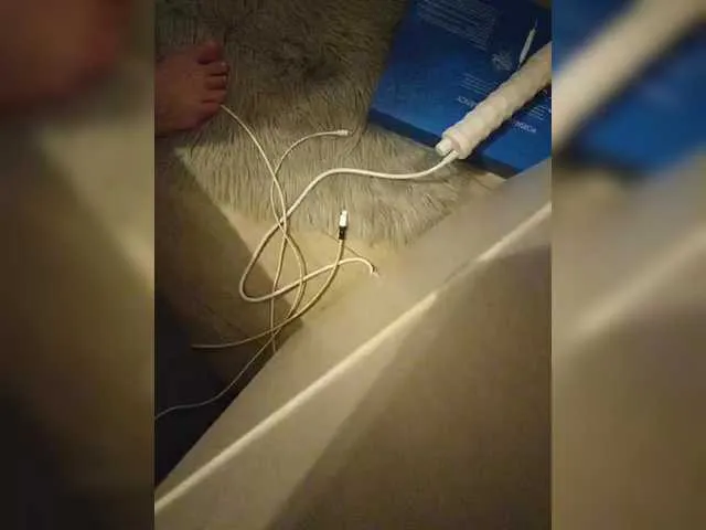 Koshecka77 — All your fantasies are only in private. Subscription is paid. With a face in full privacy for 6000 tokens. In a mask for 3000 tokens.    