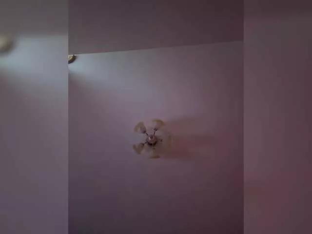 Maria-5 from BongaCams