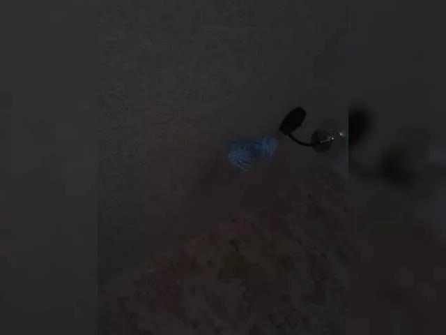 SibbieLilly on BongaCams 