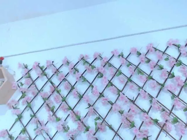 tiffany-gomez9 — Freechat on BongaCams