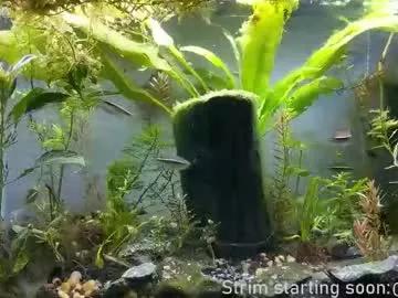 Sweet Booker_baxton wants you to fuck his body now booker_baxton from Chaturbate