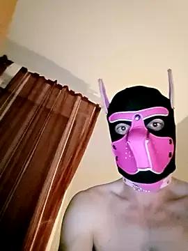 Puppydog33 from StripChat