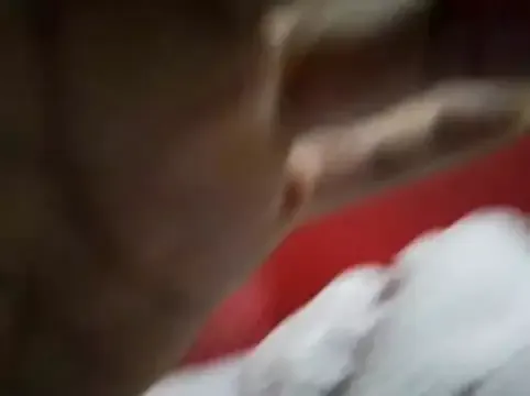 StripChat Siegfri3d__ is Freechat Siegfri3d__ — Travel to USA