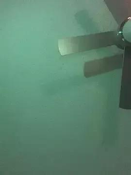 StripChat Triggerhappycj100 Triggerhappycj100 from StripChat